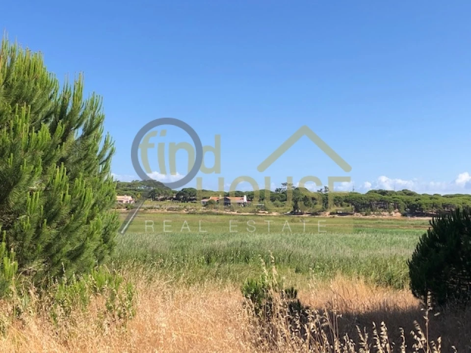 Terreno Agricola ou Rústico para Venda em Melides Foto 6