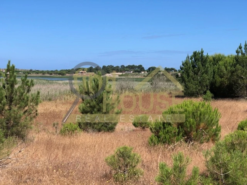 Terreno Agricola ou Rústico para Venda em Melides Foto 4