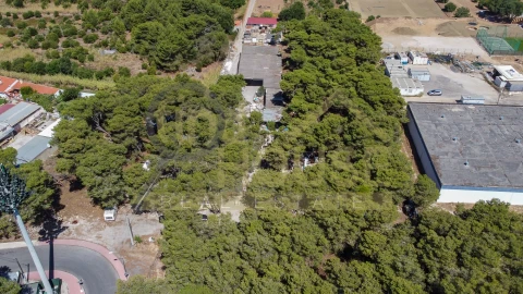 Terreno para Venda em Cascais e Estoril