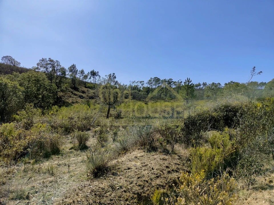 Terreno Agricola ou Rústico para Venda em Bordeira Foto 6