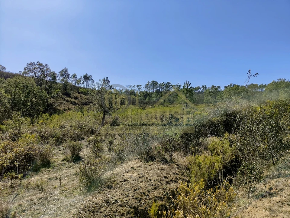 Terreno Agricola ou Rústico para Venda em Bordeira Foto 4