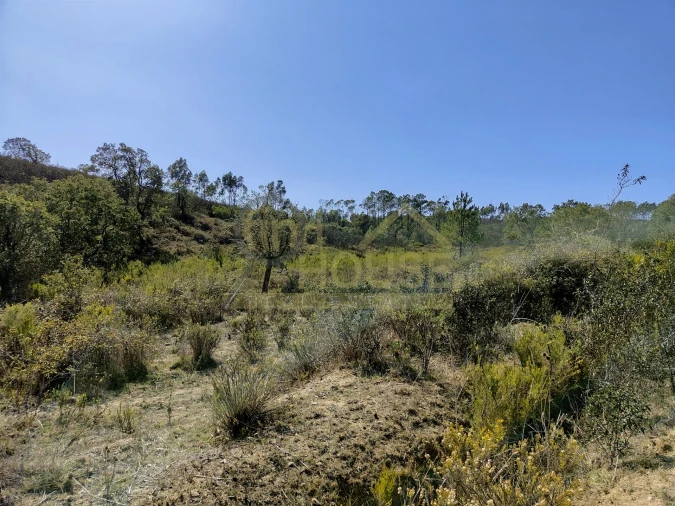 Terreno Agricola ou Rústico para Venda em Bordeira Foto 6