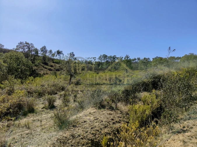 Terreno Agricola ou Rústico para Venda em Bordeira Foto 4