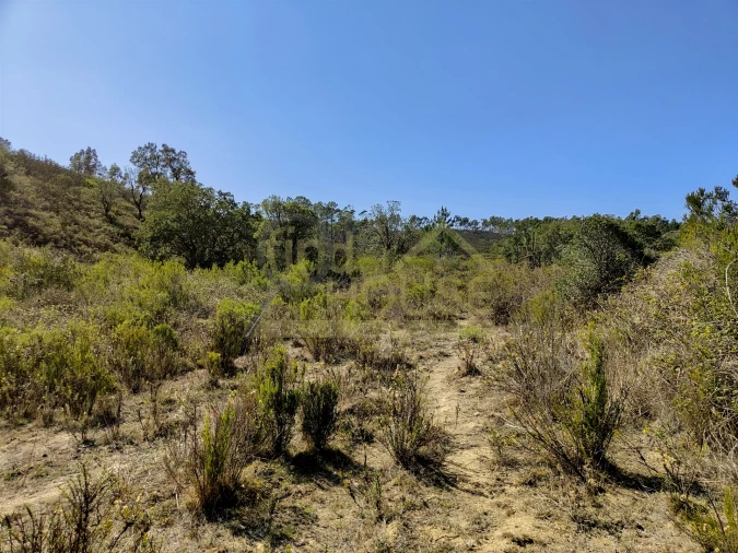 Terreno Agricola ou Rústico para Venda em Bordeira Foto 2