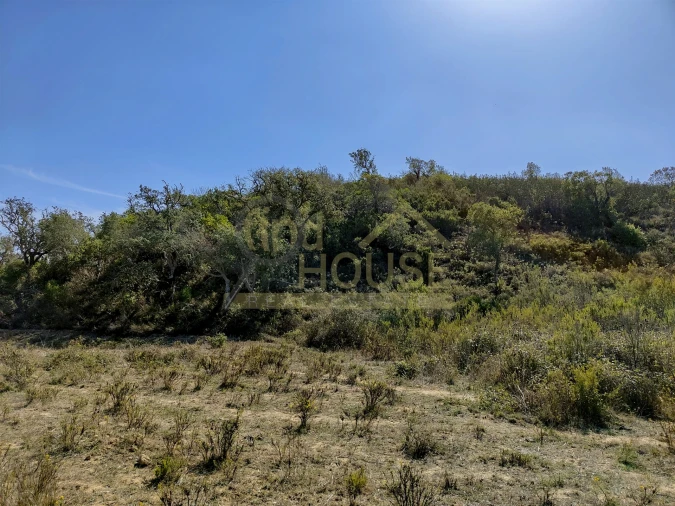 Terreno Agricola ou Rústico para Venda em Bordeira Foto 7