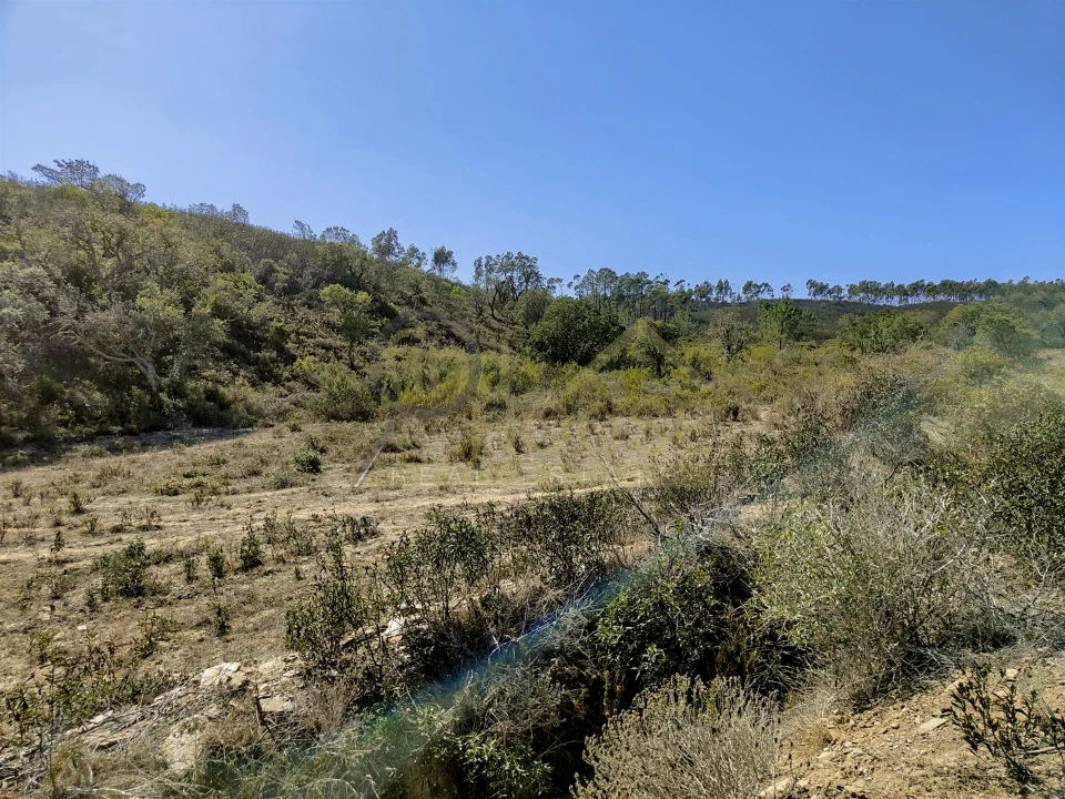 Terreno Agricola ou Rústico para Venda em Bordeira Foto 5