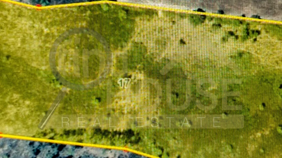 Terreno Agricola ou Rústico para Venda em Bordeira