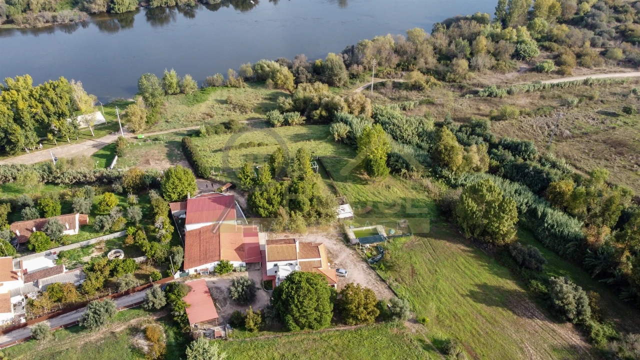 Quinta T4 para Venda em Alvega e Concavada Foto 4