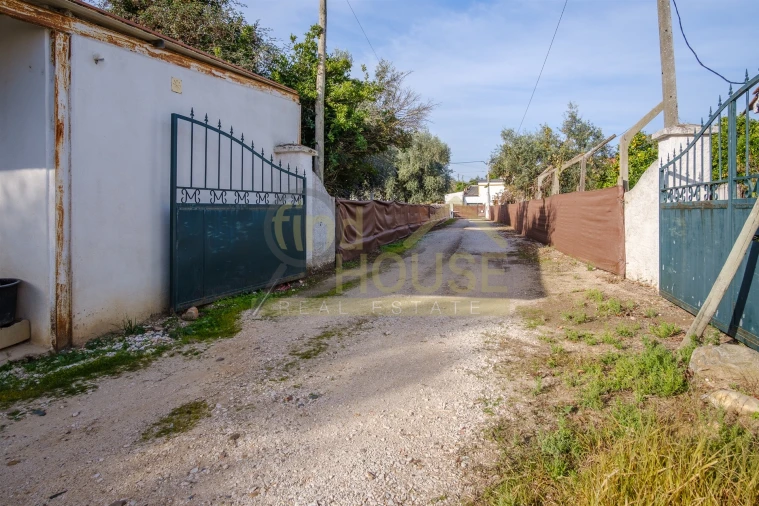 Quinta T4 para Venda em Alvega e Concavada Foto 53