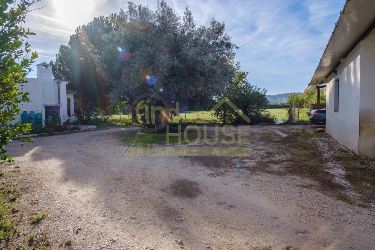 Quinta T4 para Venda em Alvega e Concavada Foto 52