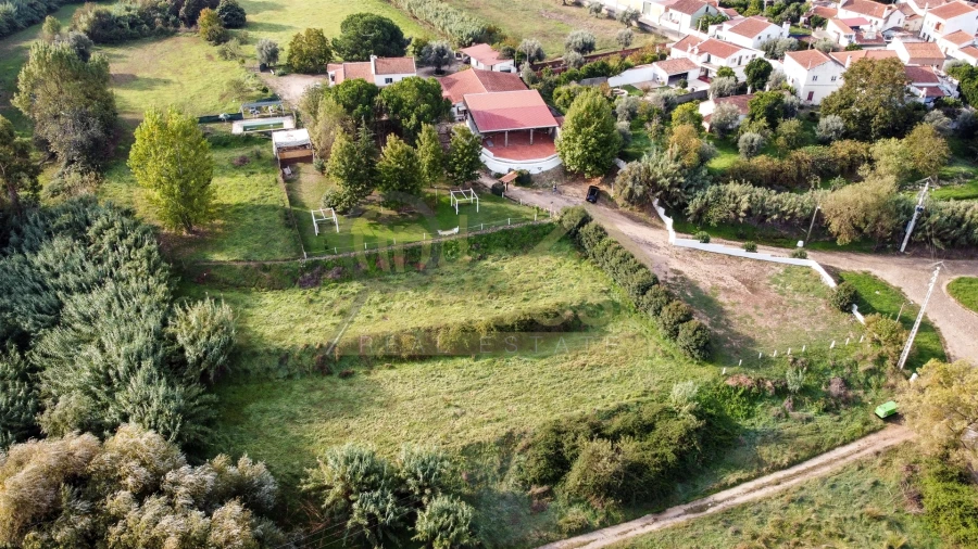 Quinta T4 para Venda em Alvega e Concavada Foto 6