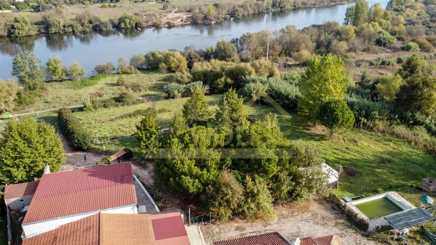 Quinta T4 para Venda em Alvega e Concavada Foto 42