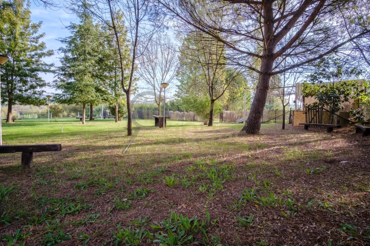 Quinta T4 para Venda em Alvega e Concavada Foto 38