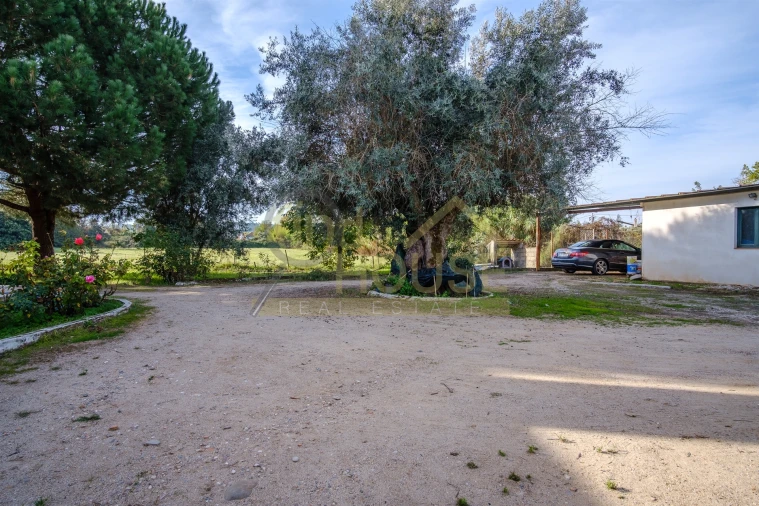 Quinta T4 para Venda em Alvega e Concavada Foto 51