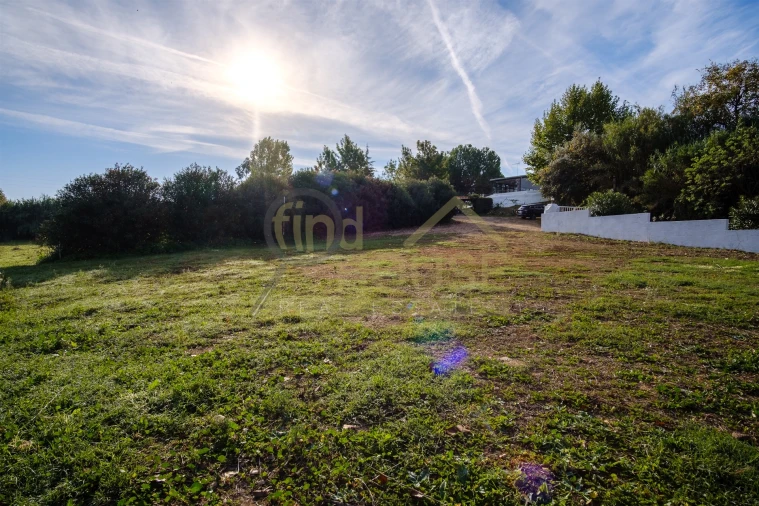 Quinta T4 para Venda em Alvega e Concavada Foto 34