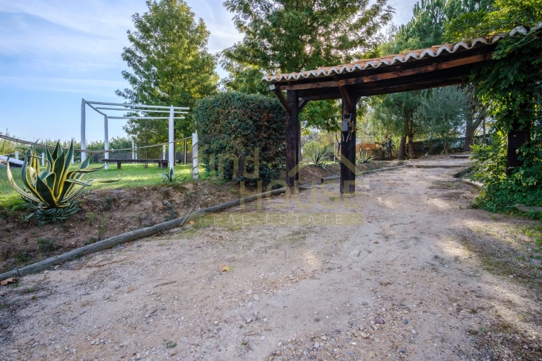 Quinta T4 para Venda em Alvega e Concavada Foto 9