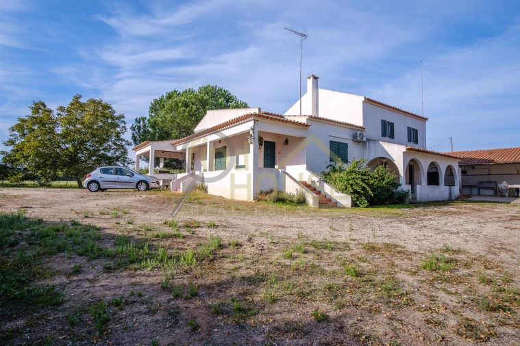 Quinta T4 para Venda em Alvega e Concavada Foto 33