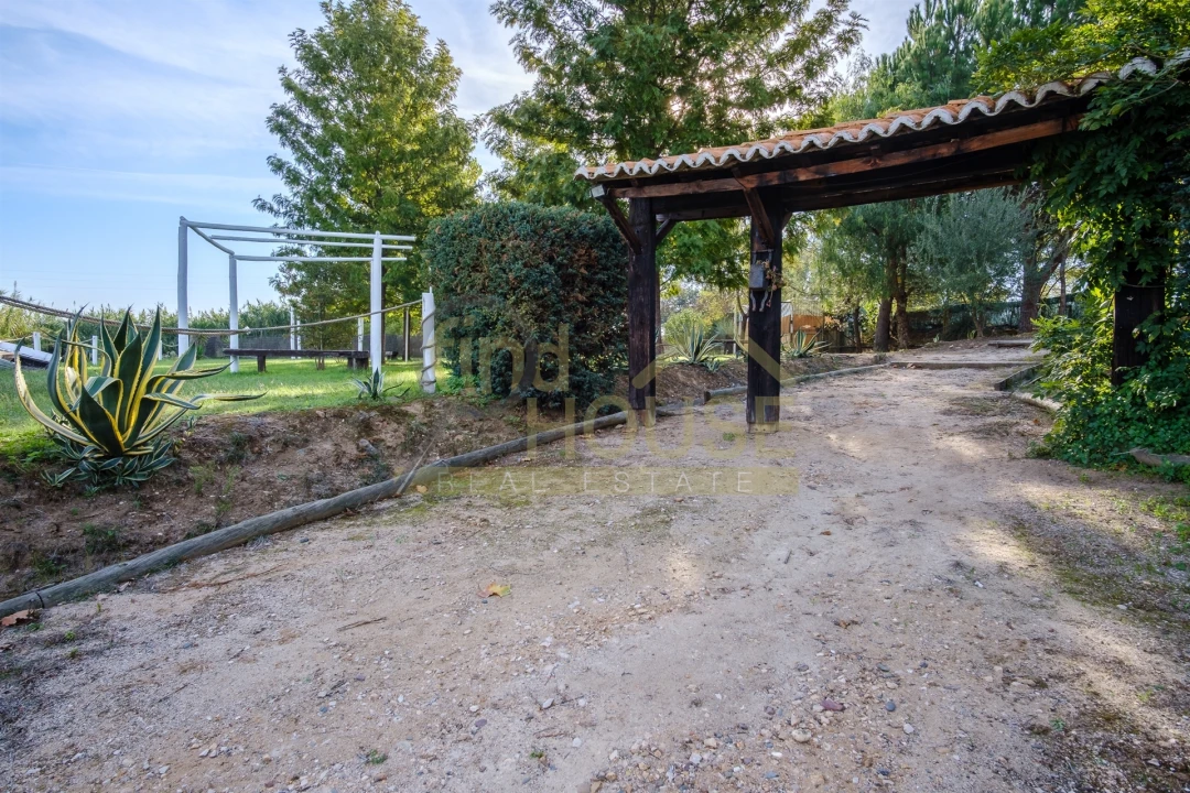 Quinta T4 para Venda em Alvega e Concavada Foto 9