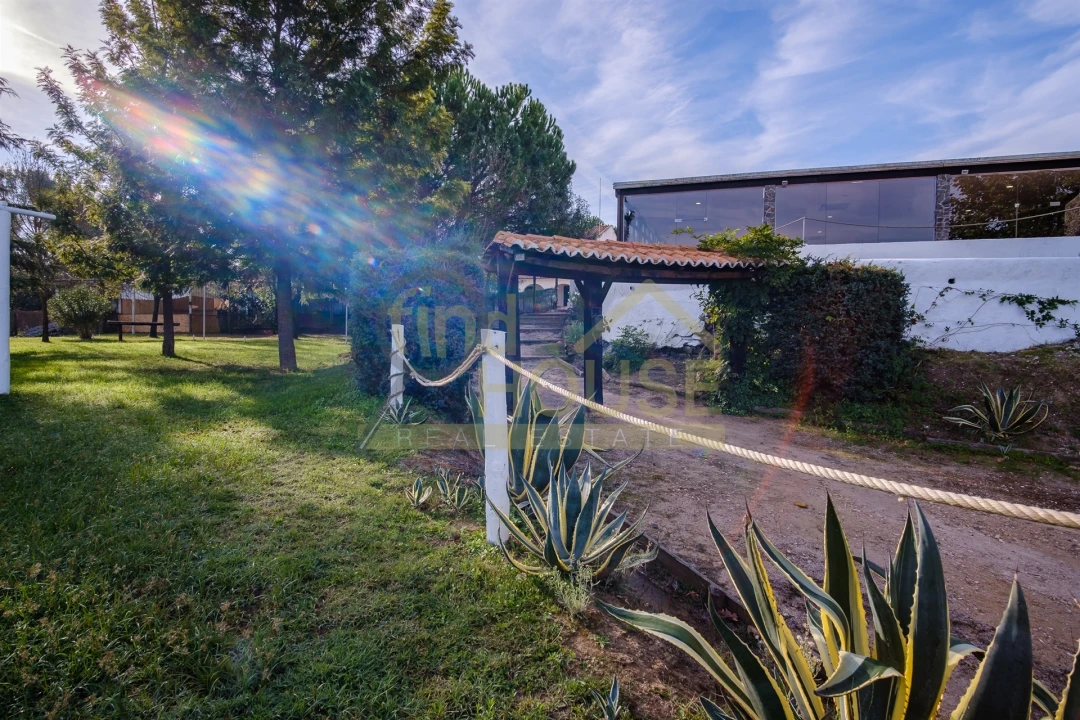 Quinta T4 para Venda em Alvega e Concavada Foto 40