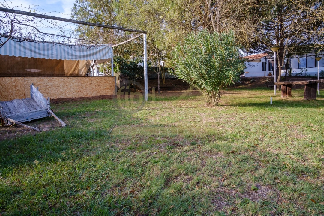 Quinta T4 para Venda em Alvega e Concavada Foto 37