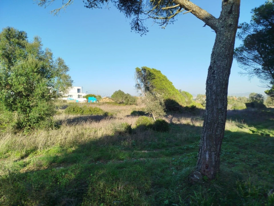 Terreno para Venda em Santa Maria e São Miguel, São Martinho, São Pedro Penaferrim Foto 1