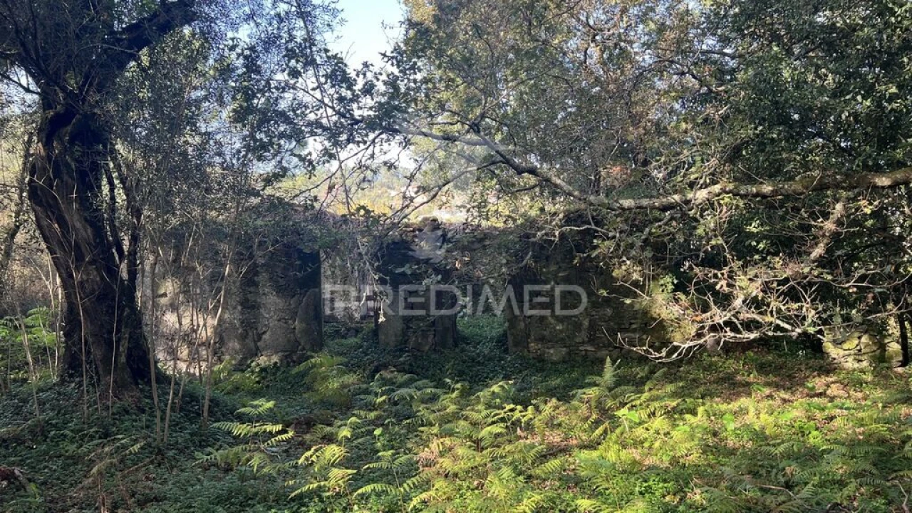 Quinta para Venda em Turiz Foto 16