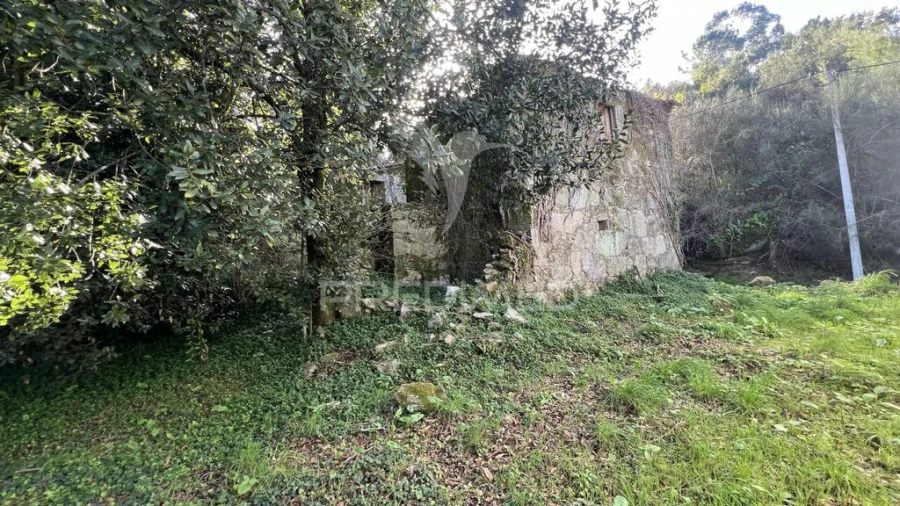 Quinta para Venda em Turiz Foto 18