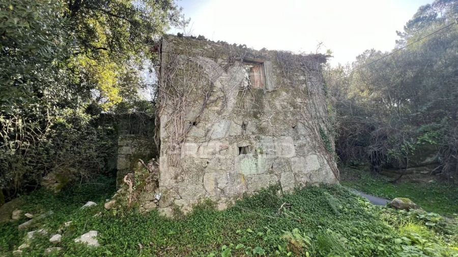 Quinta para Venda em Turiz Foto 11