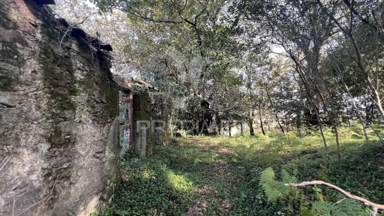 Quinta para Venda em Turiz Foto 8