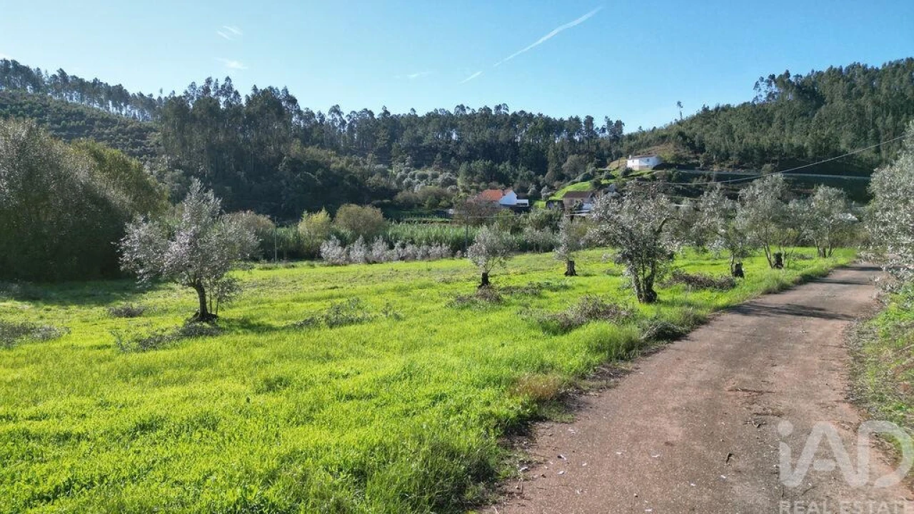 Terreno para Venda em Podentes Foto 16