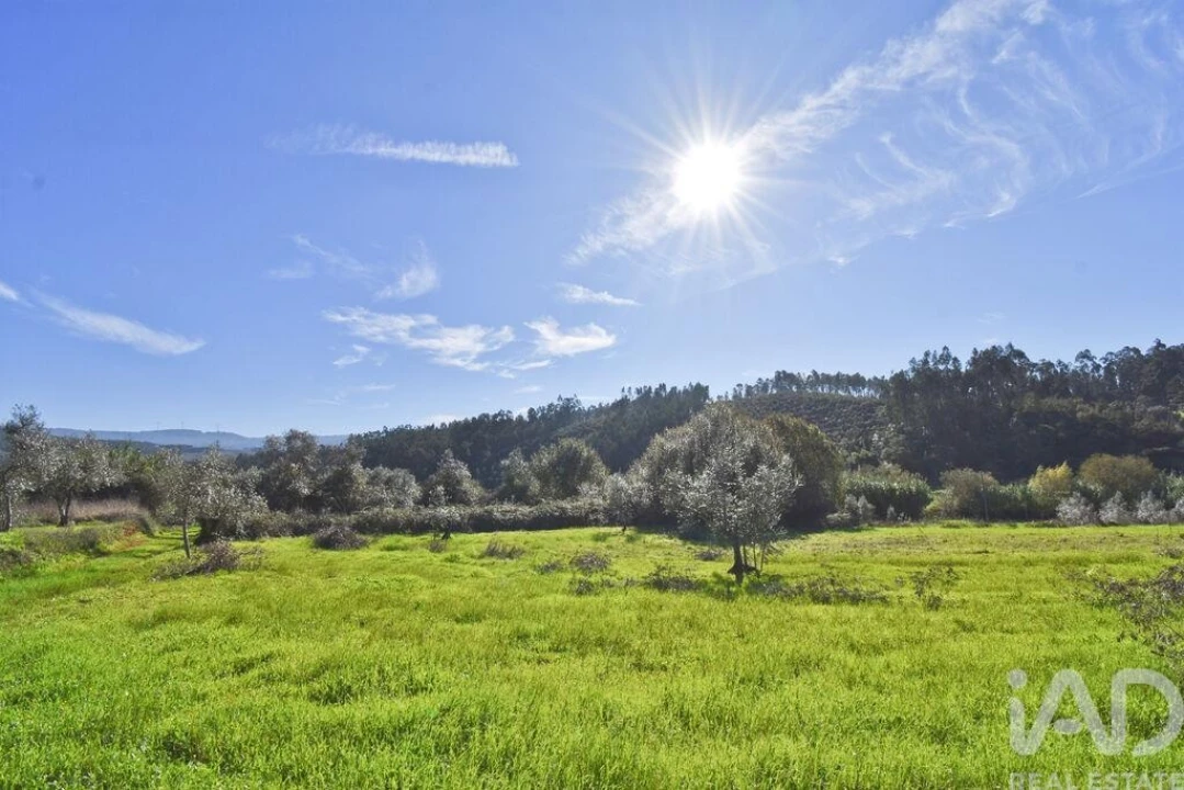Terreno para Venda em Podentes Foto 25