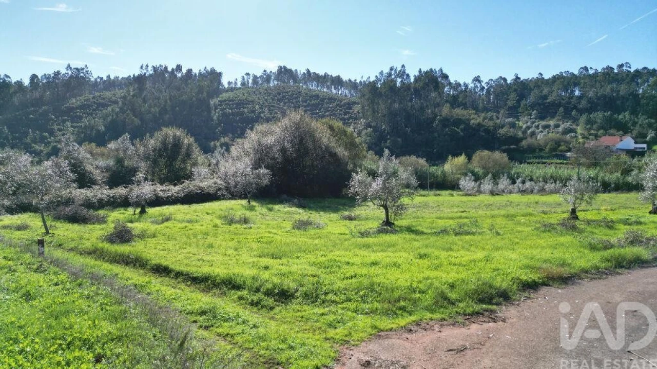 Terreno para Venda em Podentes Foto 15