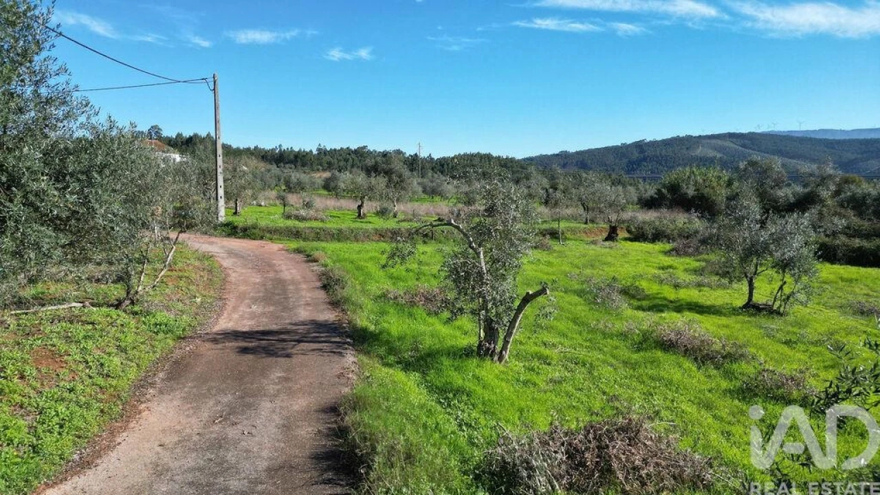 Terreno para Venda em Podentes Foto 20