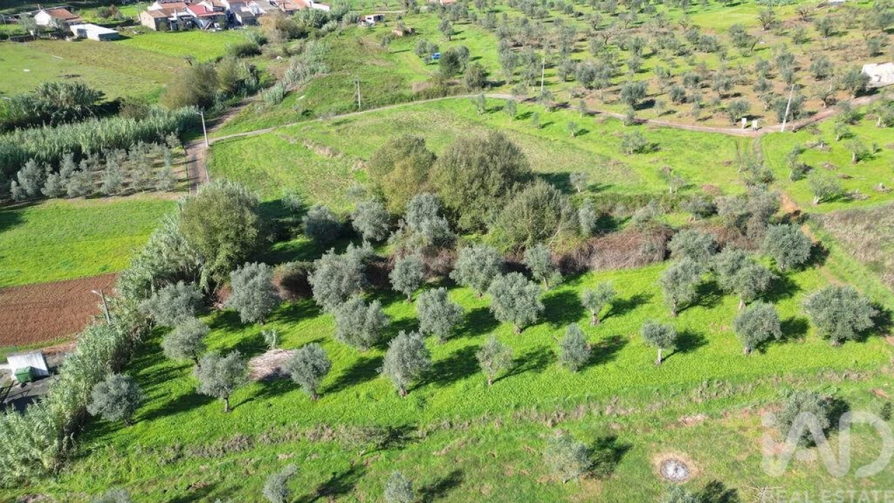 Terreno para Venda em Podentes Foto 11