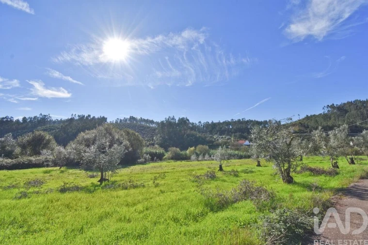 Terreno para Venda em Podentes Foto 24