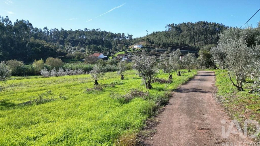 Terreno para Venda em Podentes Foto 17