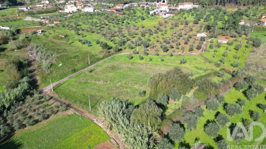 Terreno para Venda em Podentes Foto 9