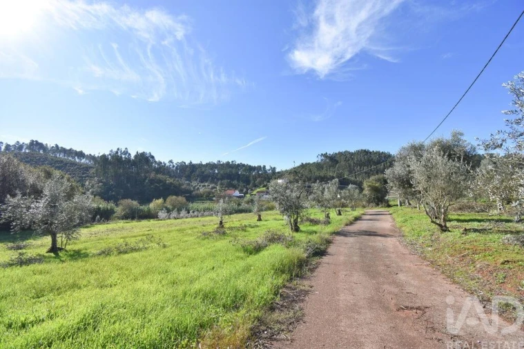 Terreno para Venda em Podentes Foto 23