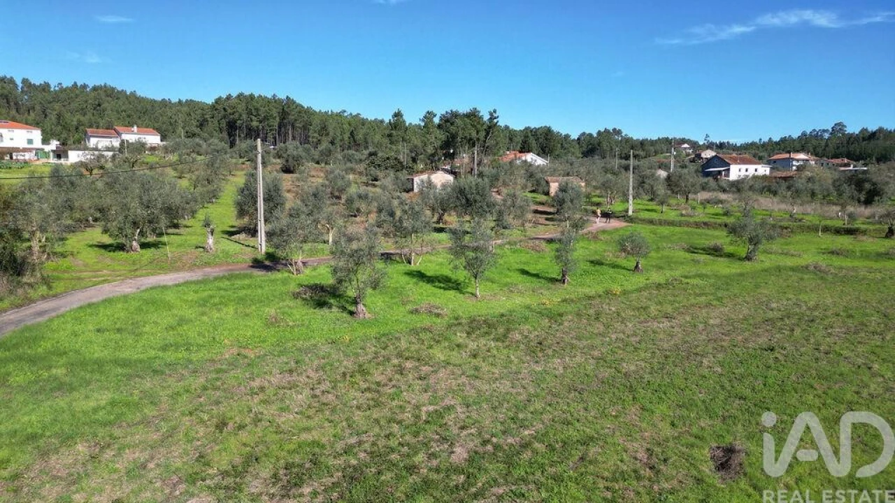 Terreno para Venda em Podentes Foto 19