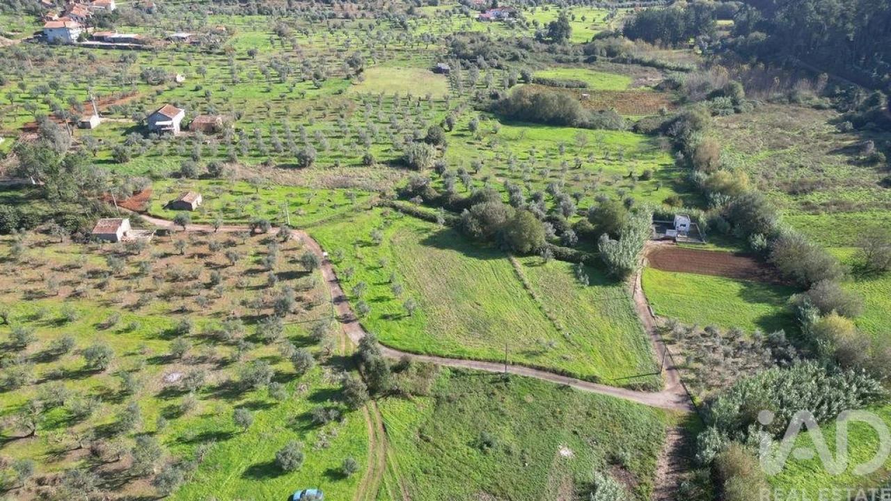 Terreno para Venda em Podentes Foto 5