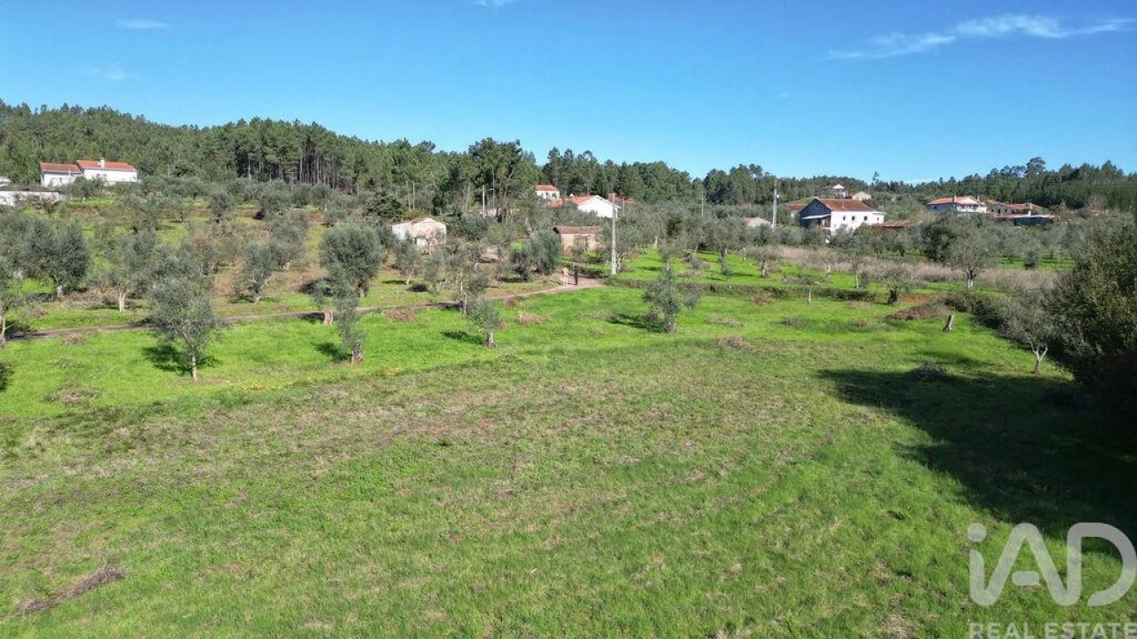 Terreno para Venda em Podentes Foto 18
