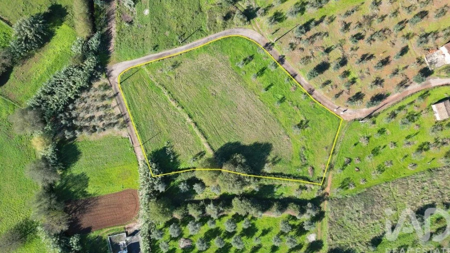 Terreno para Venda em Podentes