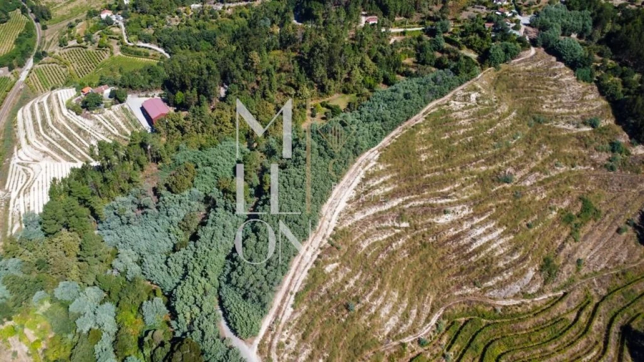 Quinta T3 para Venda em Baião (Santa Leocádia) e Mesquinhata Foto 19