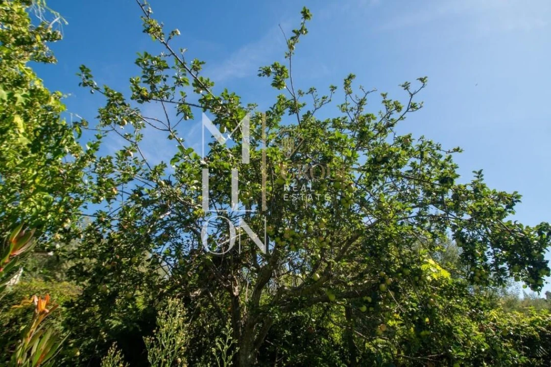 Quinta T3 para Venda em Baião (Santa Leocádia) e Mesquinhata Foto 16