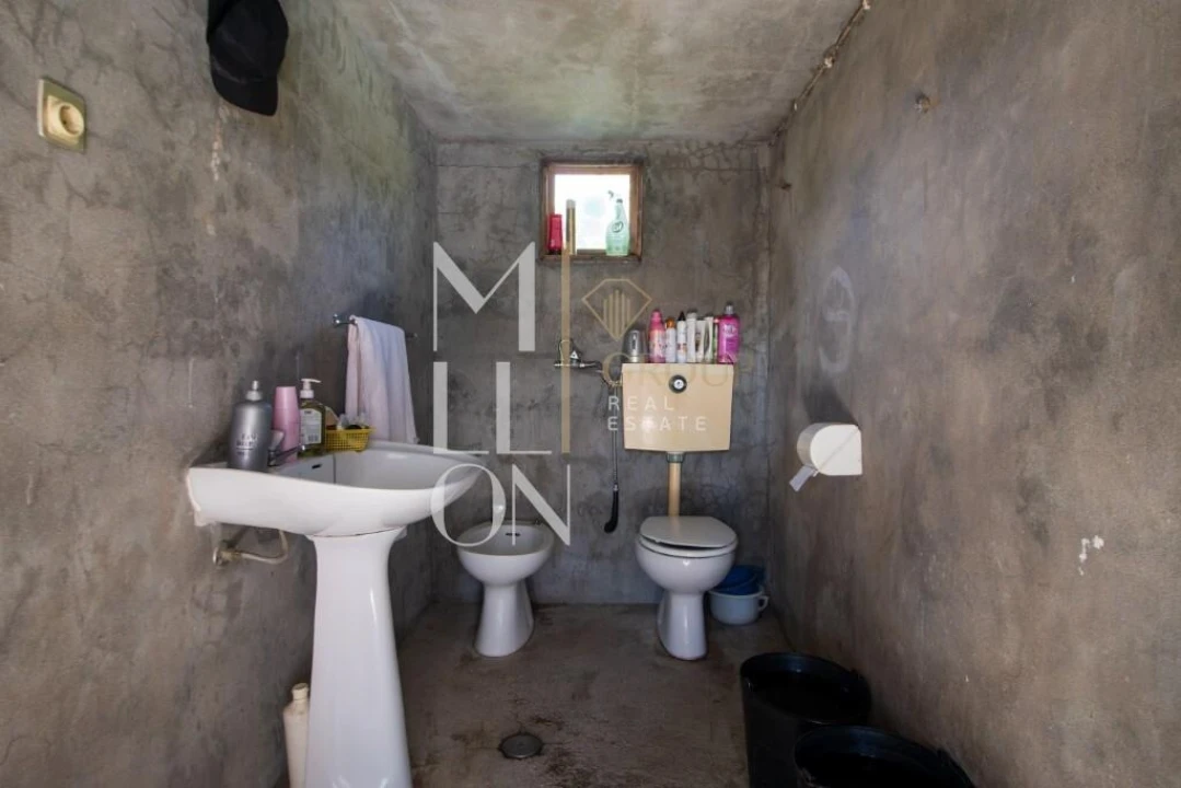 Quinta T3 para Venda em Baião (Santa Leocádia) e Mesquinhata Foto 10