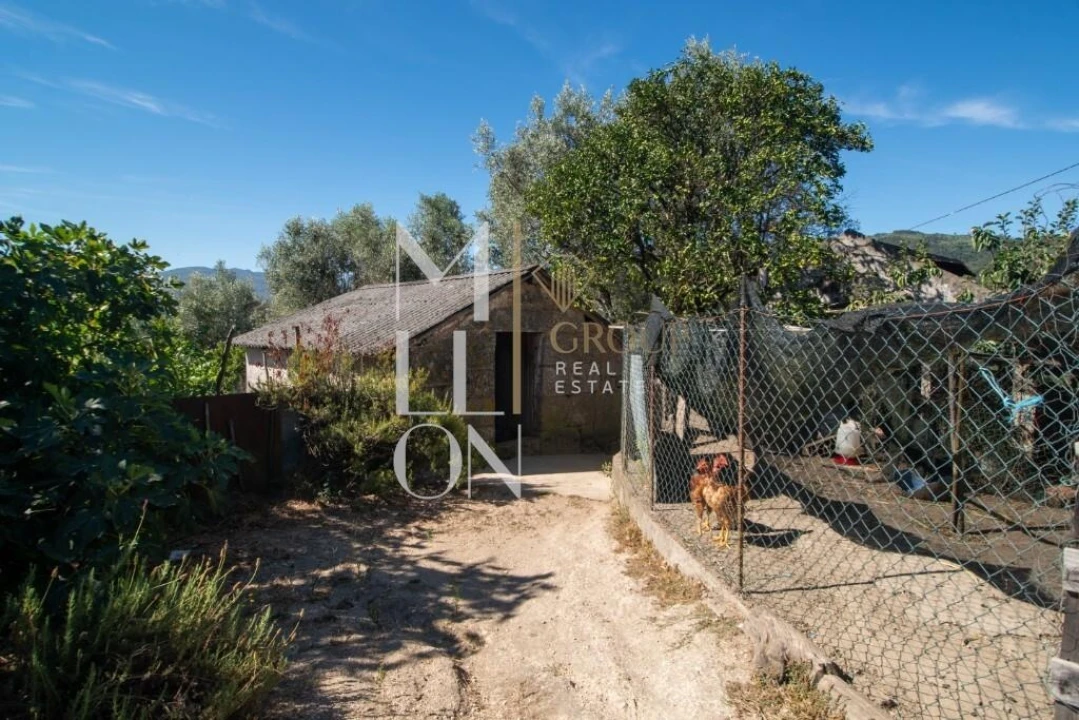 Quinta T3 para Venda em Baião (Santa Leocádia) e Mesquinhata Foto 12