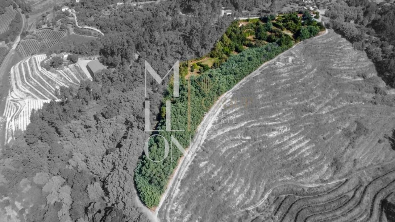 Quinta T3 para Venda em Baião (Santa Leocádia) e Mesquinhata Foto 20