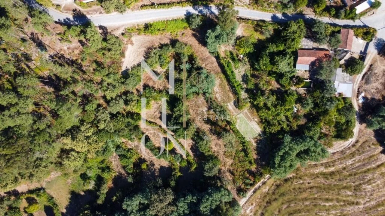 Quinta T3 para Venda em Baião (Santa Leocádia) e Mesquinhata Foto 18