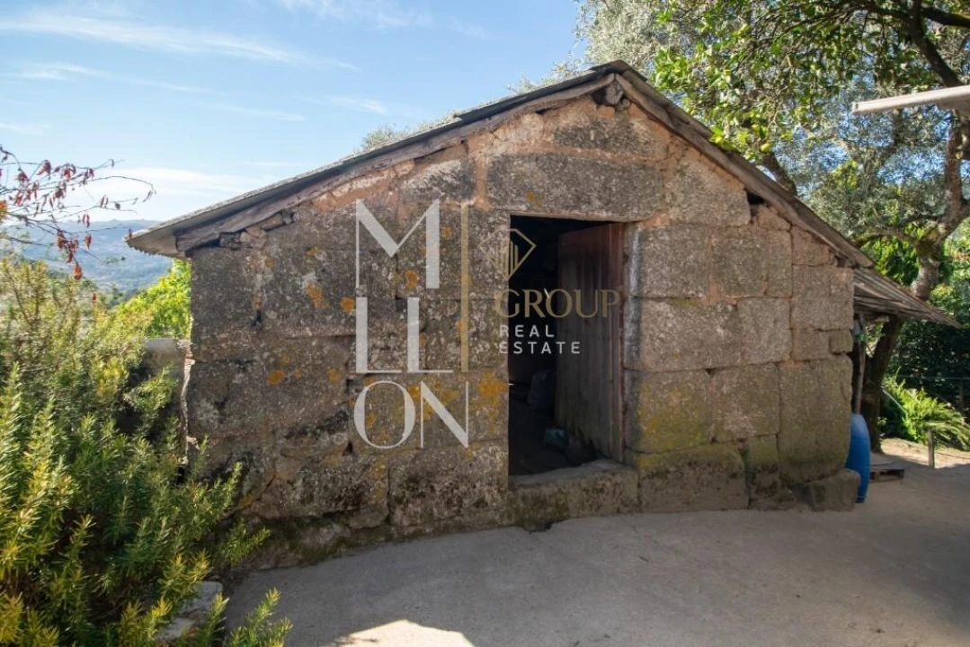 Quinta T3 para Venda em Baião (Santa Leocádia) e Mesquinhata Foto 11