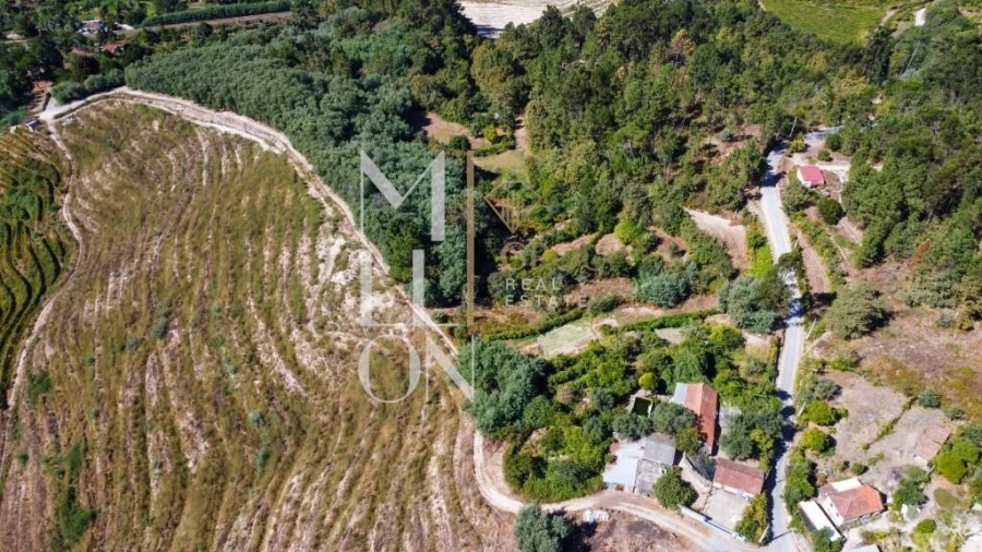 Quinta T3 para Venda em Baião (Santa Leocádia) e Mesquinhata Foto 25